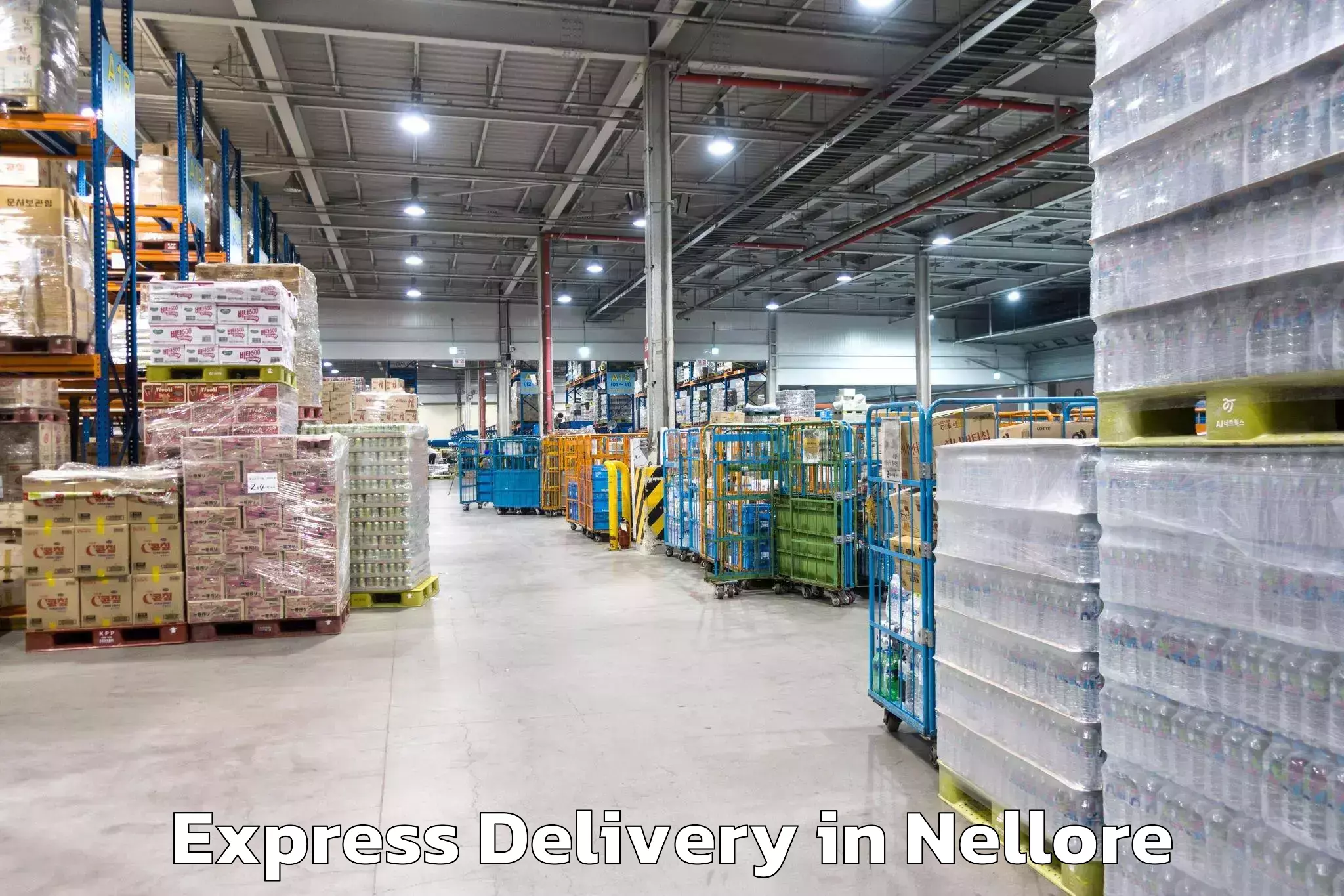 Top Express Delivery Available in Nellore, Andhra Pradesh (AP)